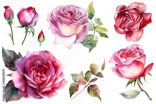 Deep Pink Rose Watercolor Clipart