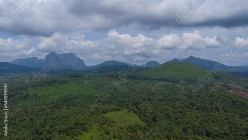 aerial view of forests and mountains being cut open for road construction in South Kalimantan