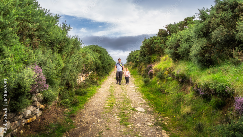 Father and daughter walking on country road surrounded by colourful heathers and bushes. Family hiking in Lough Dan, Wicklow Mountains, Ireland