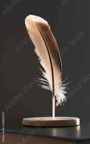 A bird feather made as a table decoration. In this case, for a book. The feathers shine in the sun. With a gray background. 