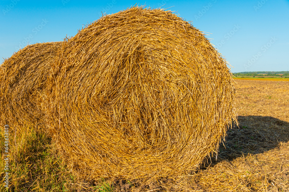 Hay bales on the field after harvest. Round straw bales