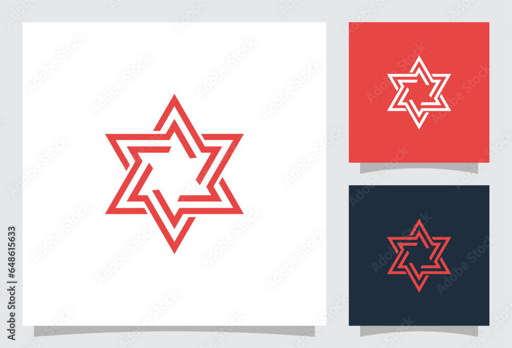 vector star logo with creative line style