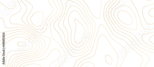 abstract White wave paper curved reliefs background .Panorama view gradient multicolor wave curve lines banner background design. Vector illustration. wave Line topography map contour background.