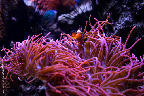 Underwater 