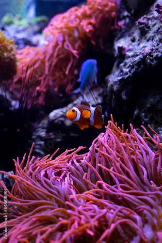 Underwater 