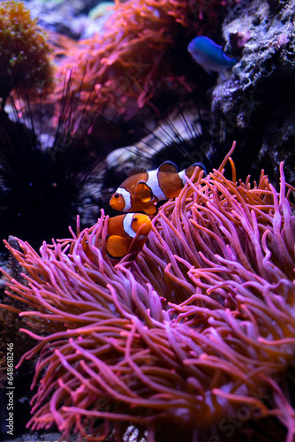 Underwater 