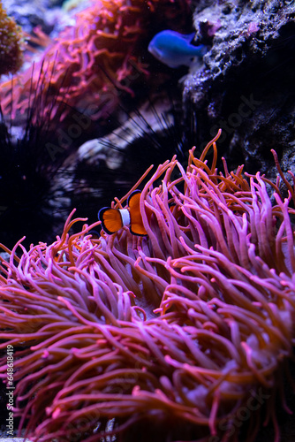 Underwater 