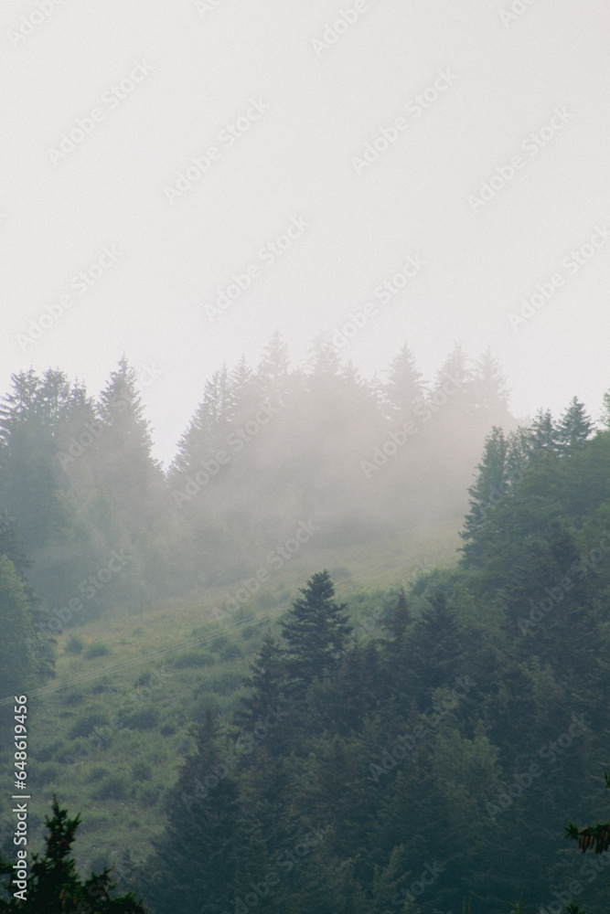 Brouillard de montagne 1