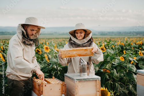 Fotografie A young family of beekeepers works on a farm producing honey in sunflowers at sunset