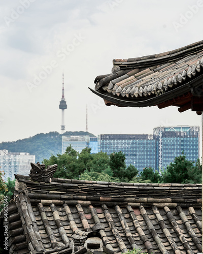 view of the city and oriental architecture