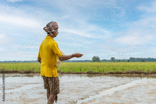 sowing crop seeds while an indian farmer standing on a plowed dirt farming land