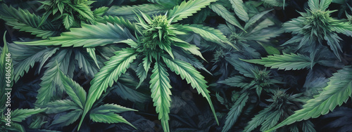 closeup of cannabis leaves, photography, photorealistic, ultrarealistic  generative ai photo