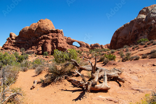 Arches National Park in Utah USA