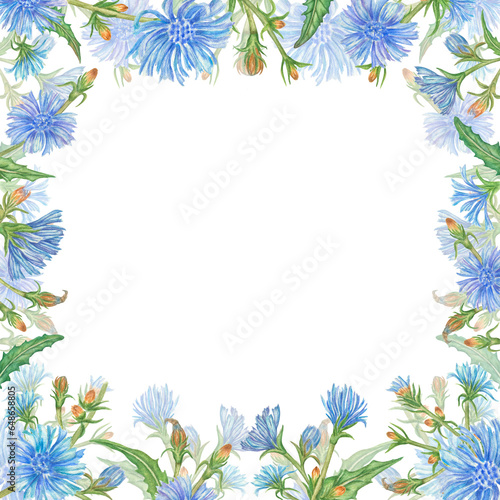 Floral frame of blue watercolor chicory flowers. Hand-Drawn square wreath. Design with empty space for text. Wedding invitation design element. flowers isolated on a white background.