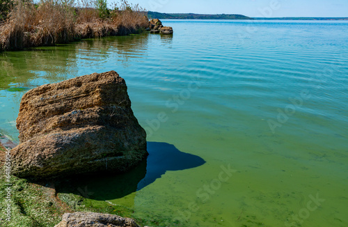 Eutrophication of the Khadzhibey estuary, blooms in the water of the blue-green algae Microcystis aeruginosa photo