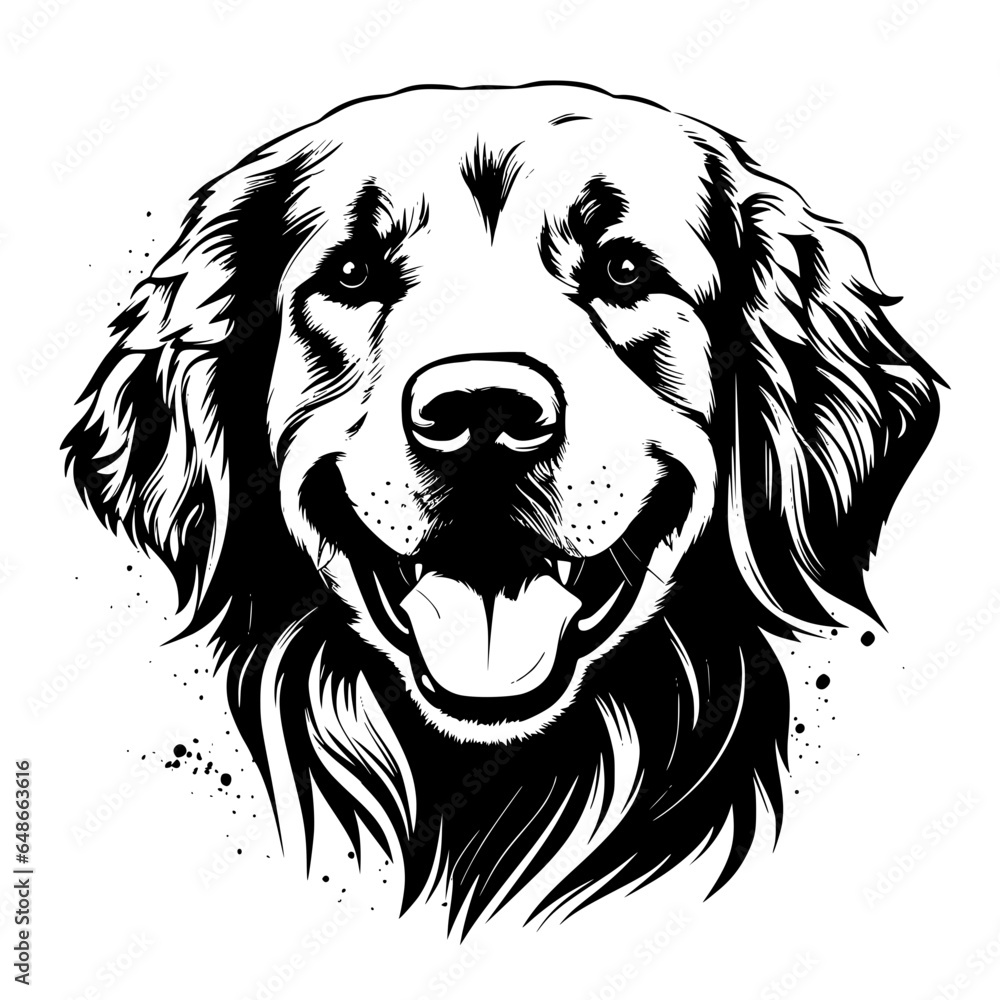 Fototapeta premium golden retriever vector