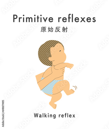 Illustration material: Primitive reflex_baby_walking reflex