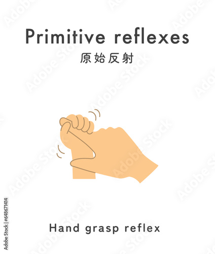 Illustration material: Primitive reflex_baby_Hand grasp reflex