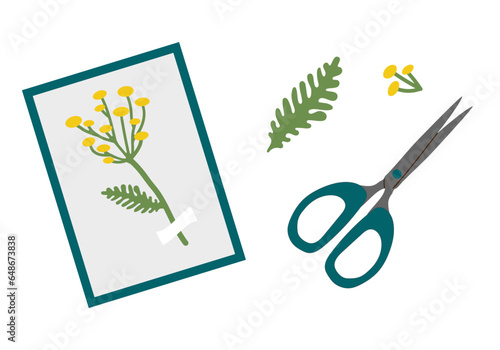 Making a herbarium of dried flowers . Medicinal fir plant in a frame and scissors plant