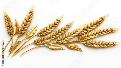 a bunch of golden wheat ears arranged neatly against a pristine white background. The composition should emphasize the natural beauty of the wheat.