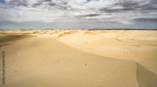 Sand dunes in the Senek desert in the Kazakh desert  sand texture in the desert
