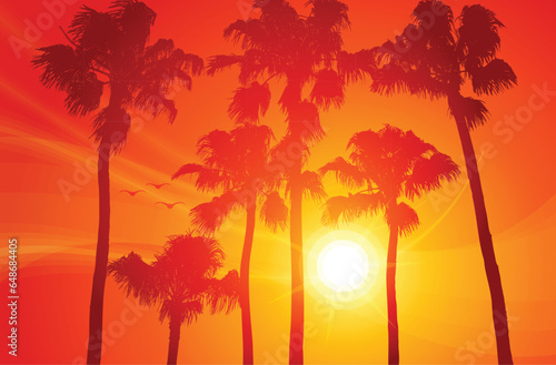 warm evening sunset beach with palm trees