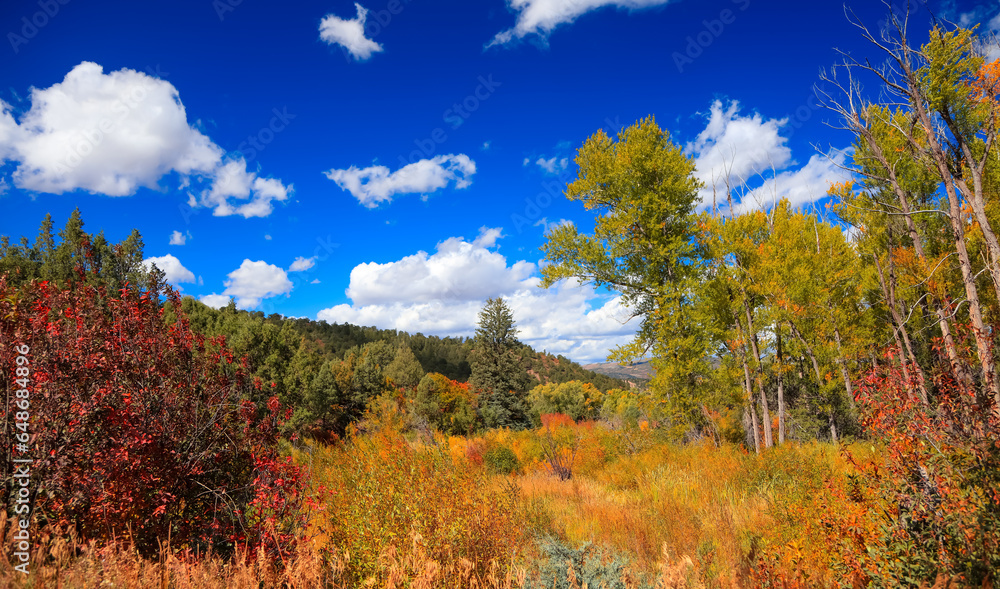 Colorful fall foliage in Colorado rocky mountains with dramatic cloudy sky.