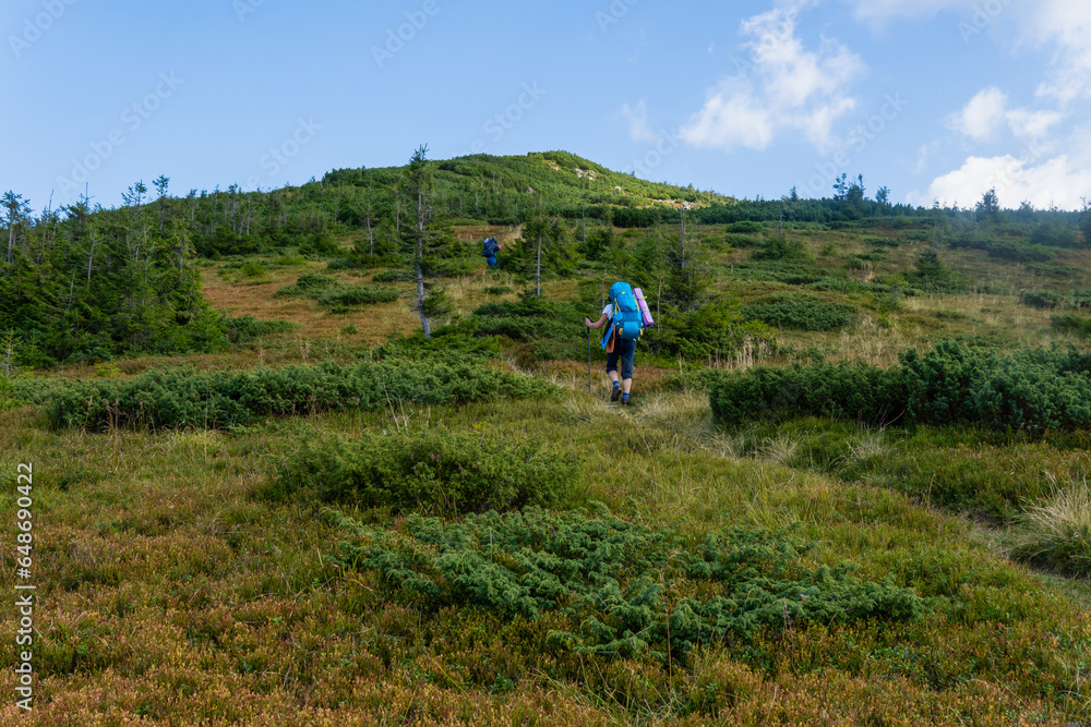 Elderly woman with a large backpack went hiking in the mountains. concept of old age and healthy lifestyle.