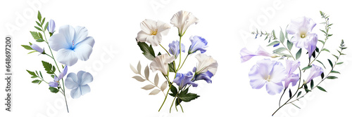 Png Set Blue flower with leaves on transparent background copy space available