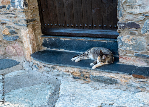 Un gato tricolor descansando en la puerta de una casa rural