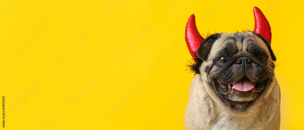 Cute pug dog with Halloween decor on yellow background with space for text