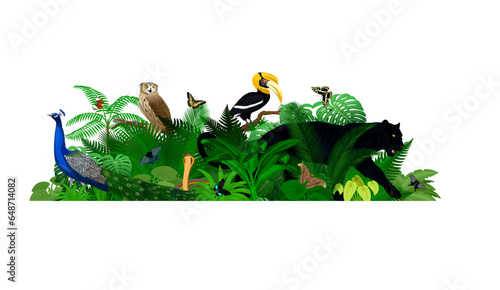 Vector tropical jungle rainforest illustration with animals.