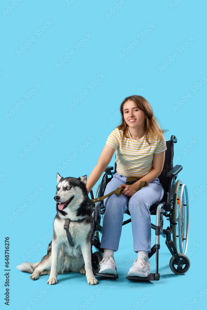 Young woman in wheelchair and with husky dog on light blue background