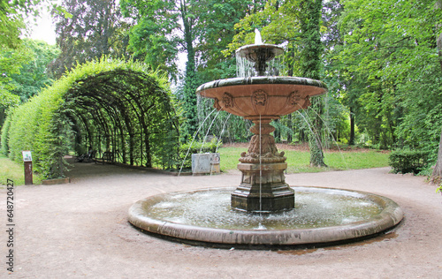 Arbour of common hornbeams in the Parc de l'Orangerie in Strasbourg Alsace France