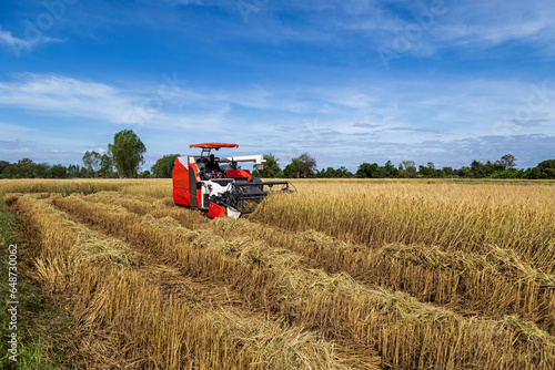 A rice harvester is harvesting golden yellow rice fields. Current agricultural technology in Thailand