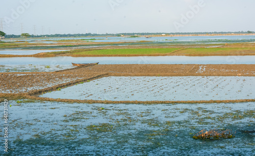 asian agriculture process in Bangladesh. landscape view