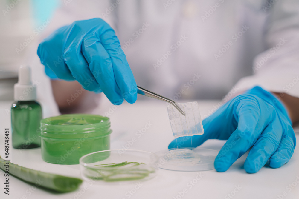 researcher looking aloe vera fresh plant pieces in glassware. Collagen serum package mockup. researcher looking aloe vera fresh plant pieces in glassware. Collagen serum package mockup.