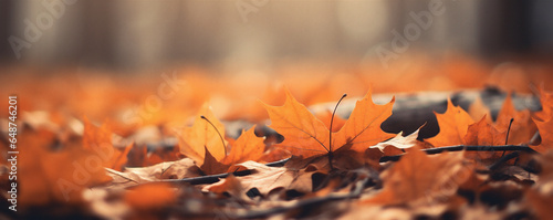 Close Up of Orange Fall Leaves on the Ground  Blurred Background  Generative AI