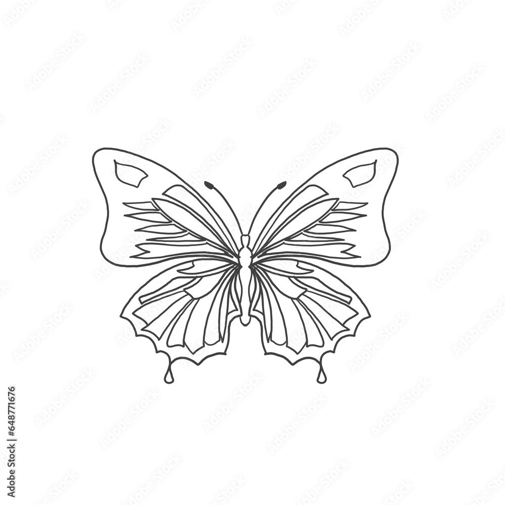 Fototapeta premium Butterfly icon. Butterfly illustration in line art style. Line art of butterfly icon. 