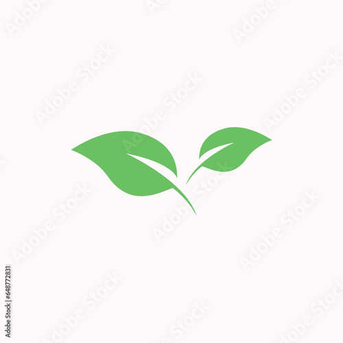 vector leaf logos  shapes  decorations and ornaments.