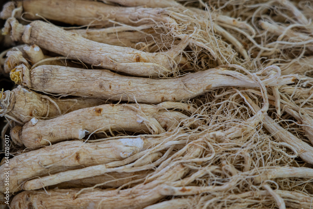 crowd of dried ginseng, dried nourishing herb. 