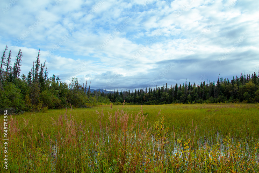 Fototapeta premium Katmai National Reserve