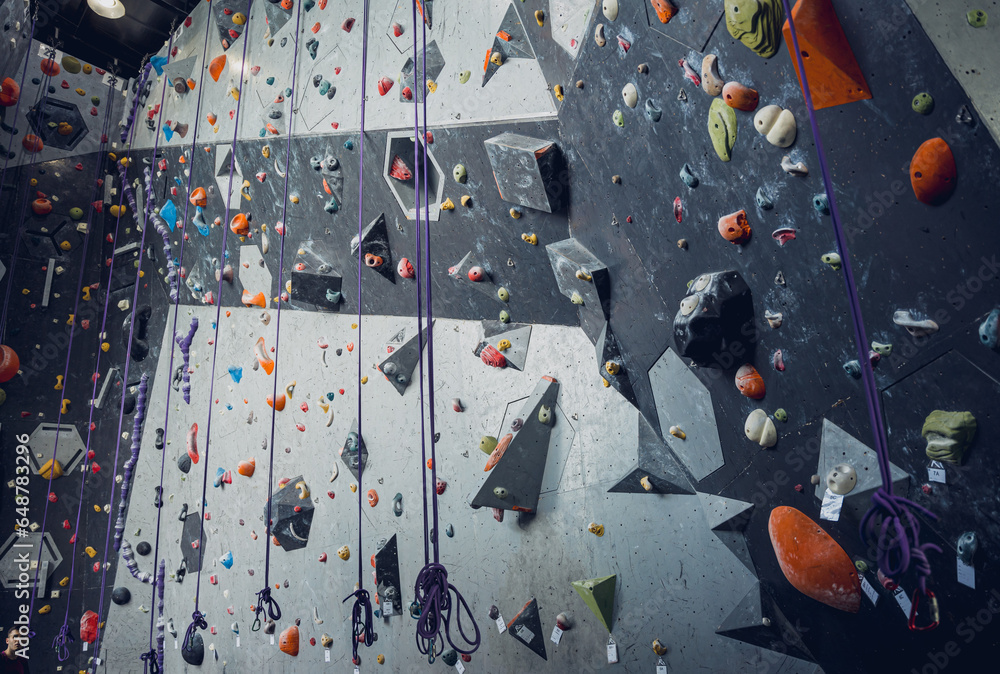 Artificial climbing wall with colorful grips and ropes - obrazy, fototapety, plakaty 