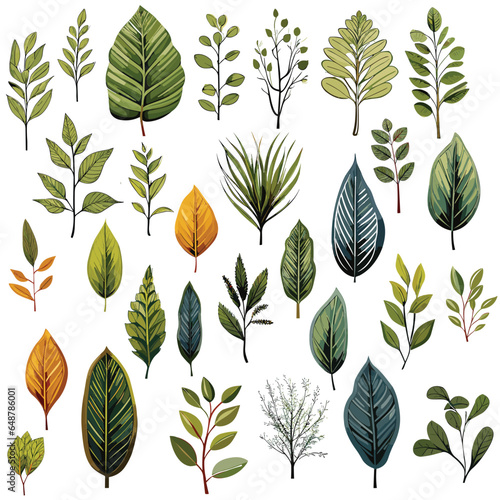 leaf plant illustration nature vector design set decoration summer tree green