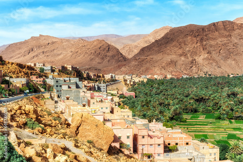 Oasis in the Dade valley, Morocco