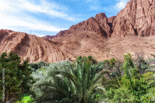 todgha gorge,a canyon in the high atlas mountains in morocco
