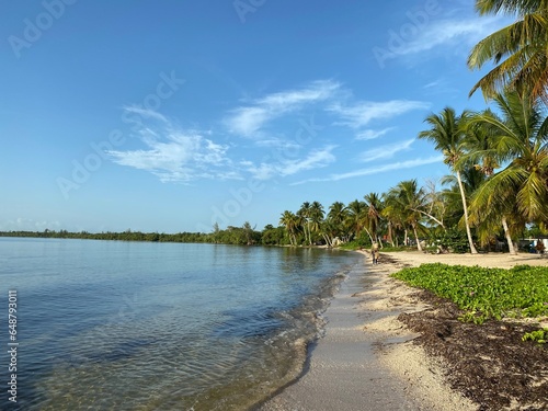 Canvas Print Playa Larga, Cuba.