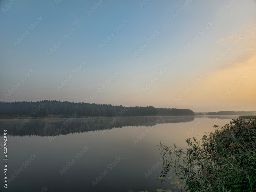 Fototapeta premium Cold summer morning in the forest with lake, forest reflection