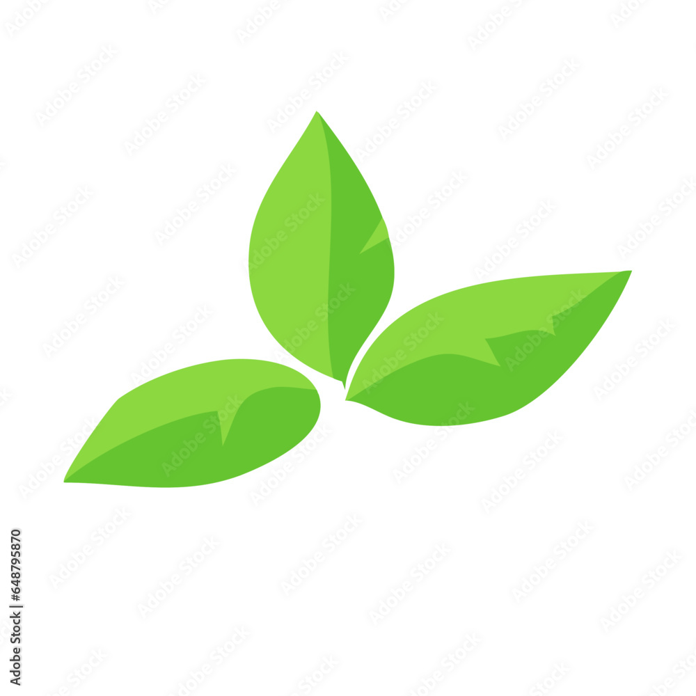 Vector realistic tropical plants green leaf design Vector realistic tropical plants green leaf design