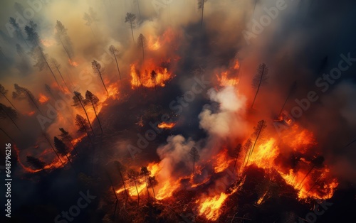Unprecedented Blaze and a Forest Caught in Fire Disaster © sitifatimah